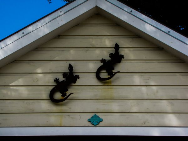 Cost of Shiplap Siding Installation in Pottstown