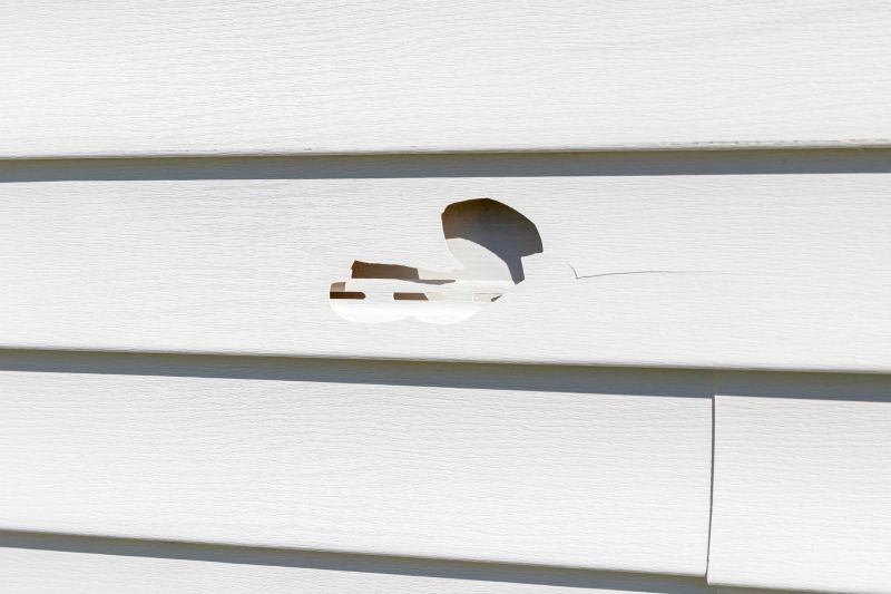 Vinyl Siding Crack Repair